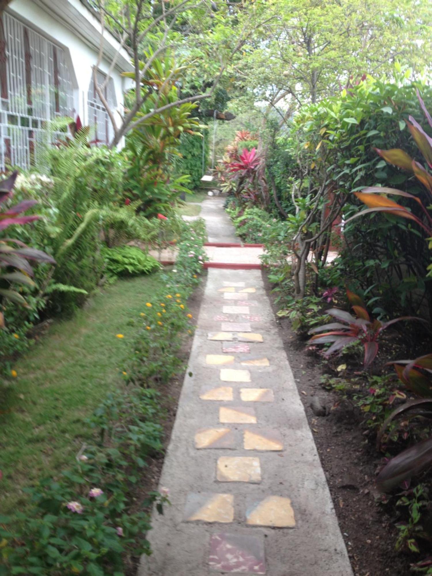Kingston Airport Bed And Breakfast Esterno foto