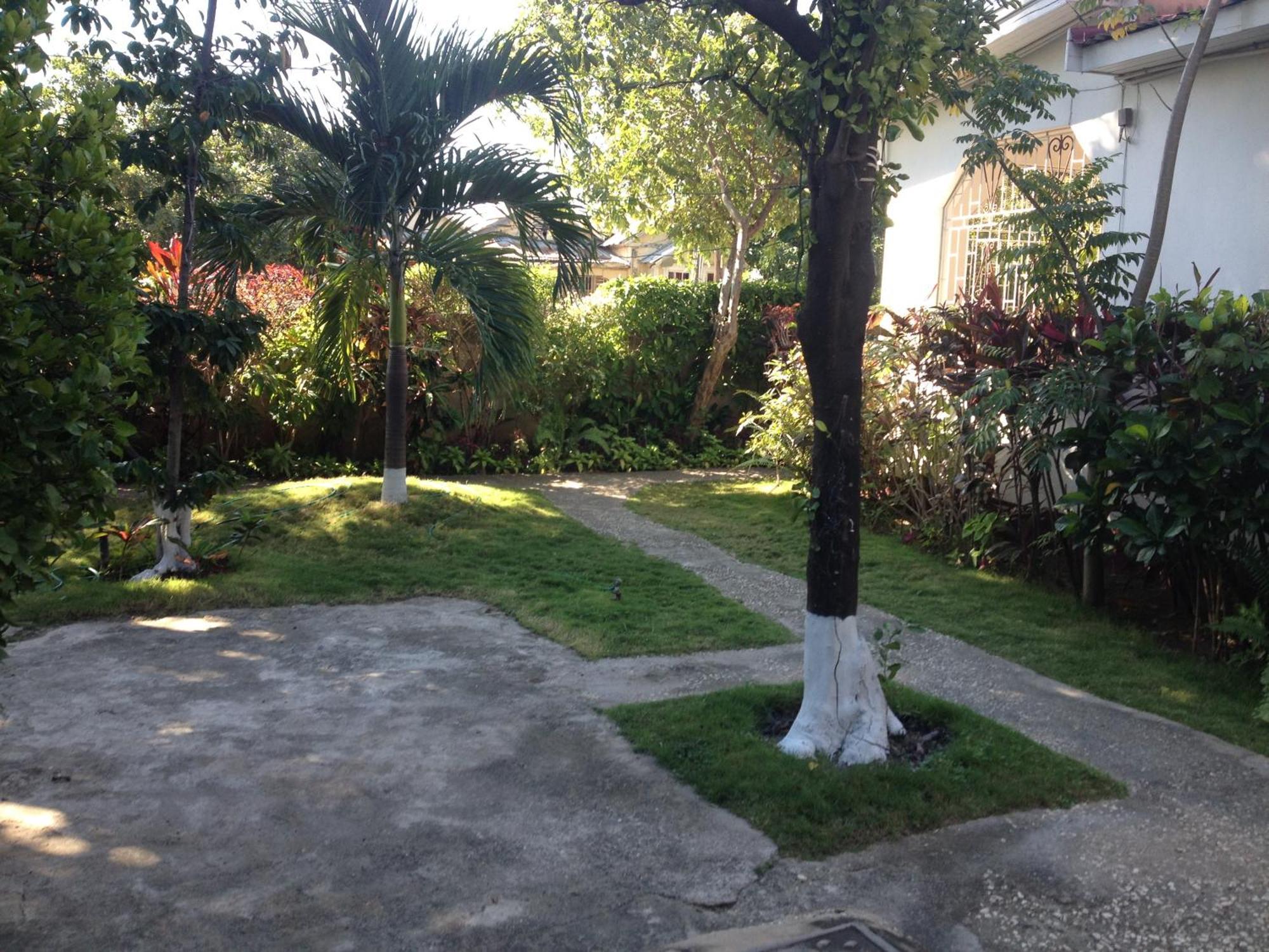 Kingston Airport Bed And Breakfast Esterno foto