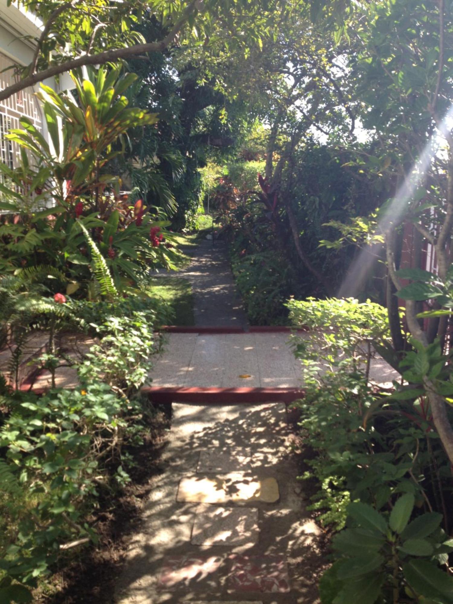 Kingston Airport Bed And Breakfast Esterno foto